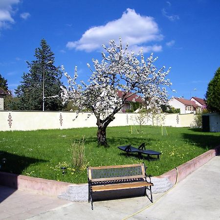 Grand Appartement Dans Villa Avec Parking Quartier Residentiel Joigny Kamer foto
