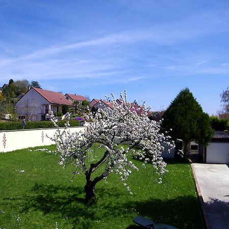 Grand Appartement Dans Villa Avec Parking Quartier Residentiel Joigny Kamer foto